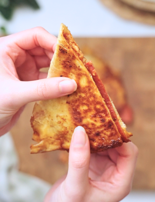 Pizza Quesadilla