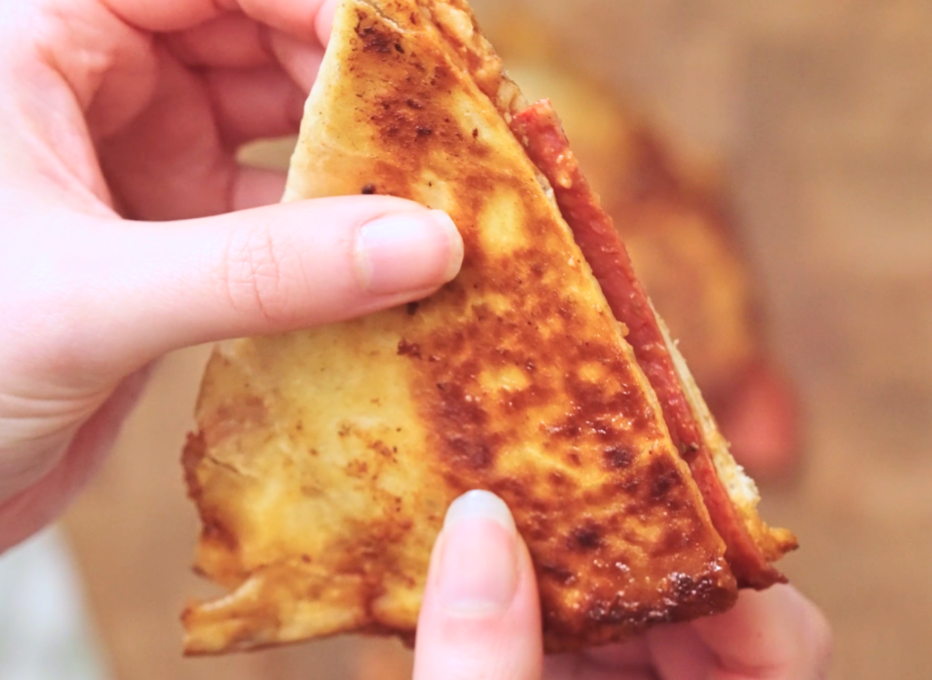 Pizza Quesadilla
